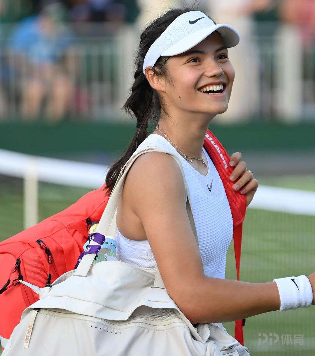 能会转投森 能会转投森