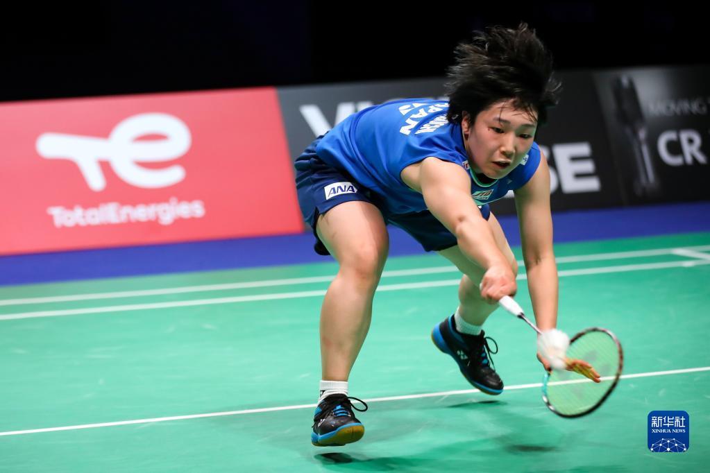 的稳步提升 的稳步提升