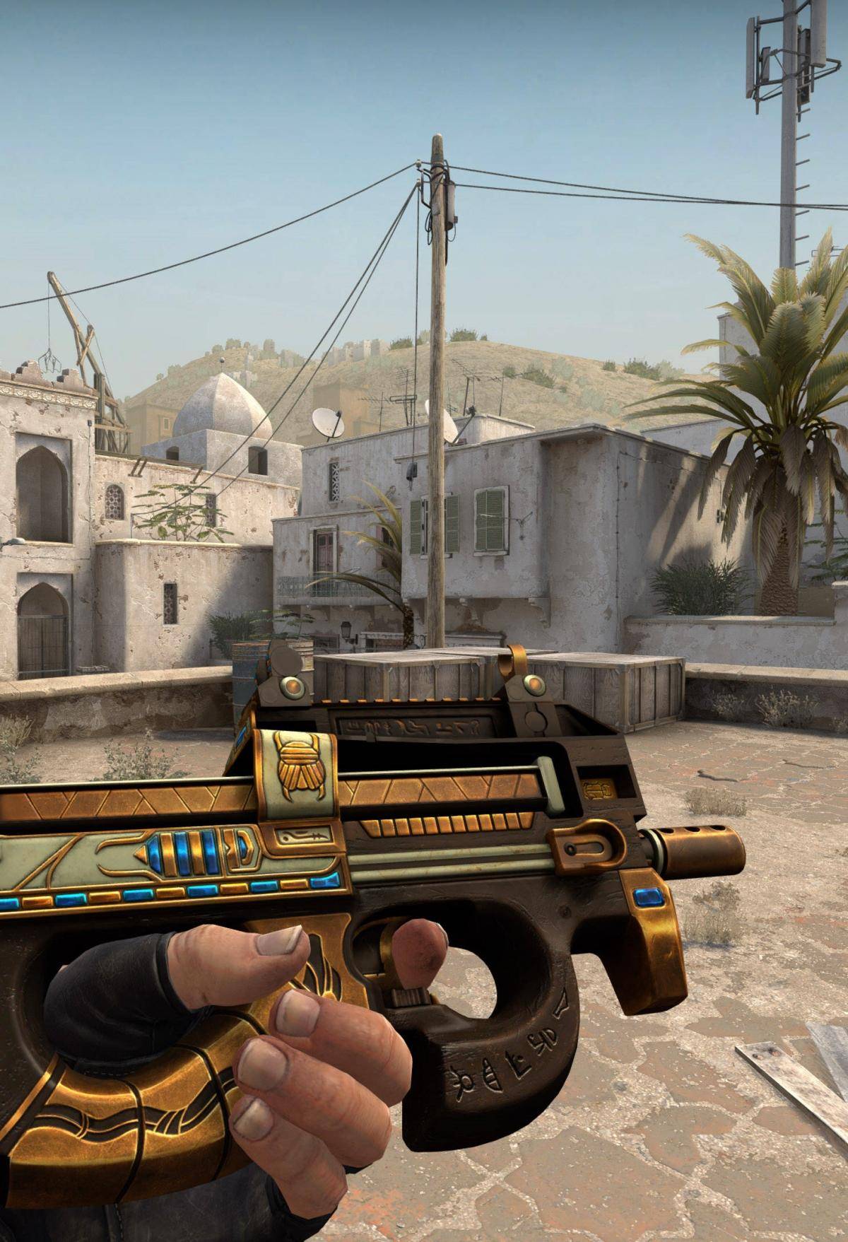 球队在本赛 球队在本赛