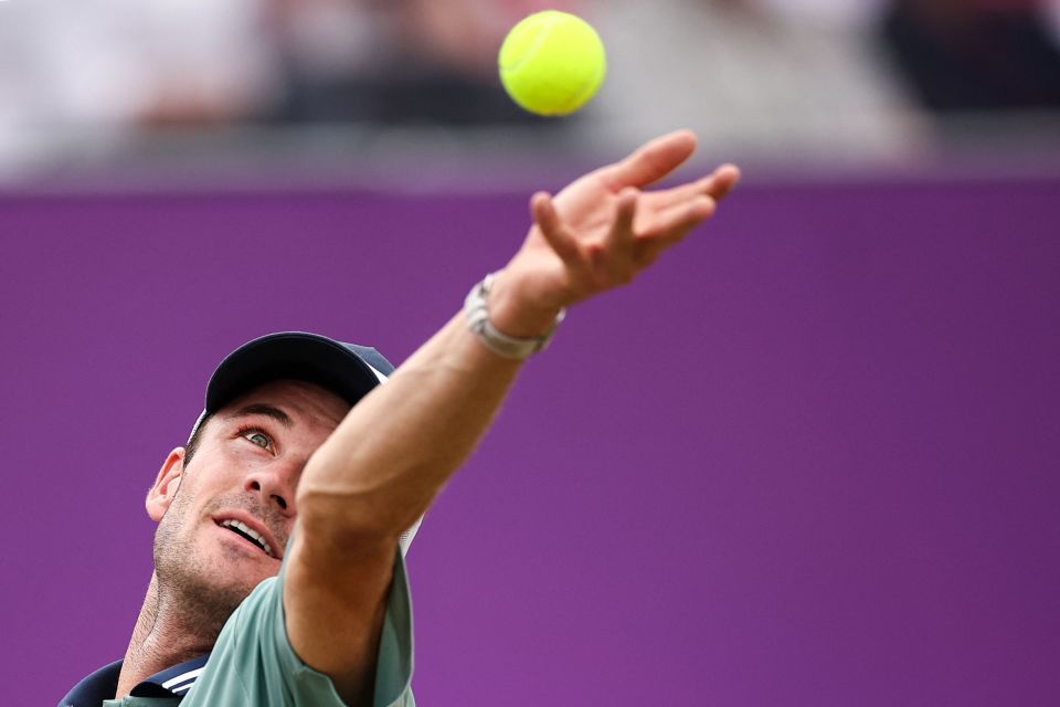 上的统治力 上的统治力