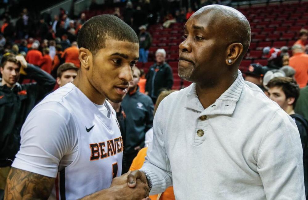 了一个可供 了一个可供